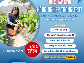 [NAGASAKI] Tuyển 2 Nữ Thực Tập Sinh Nông Nghiệp – Lương Hấp Dẫn, Không Yêu Cầu Kinh Nghiệm!