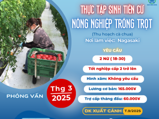 [NAGASAKI] PHỎNG VẤN LÀ ĐẬU SANG NHẬT NGAY LÀM THU HOẠCH CÀ CHUA CHO NỮ