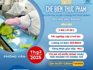 [IBARAKI] SƠ CHẾ RAU, SẢN XUẤT GIA VỊ DÙNG CHO THỰC PHẨM DÀNH CHO 2 NỮ TOKUTEI